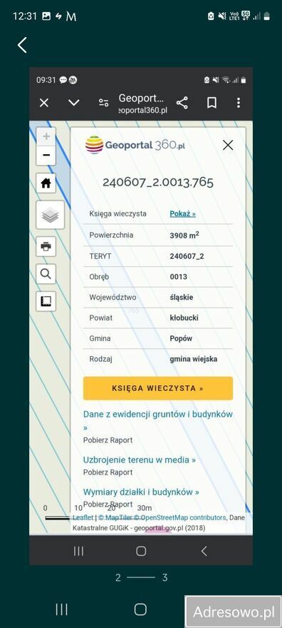 Działka leśna Rębielice Królewskie. Zdjęcie 2