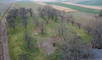 dom wolnostojący Małoszyce