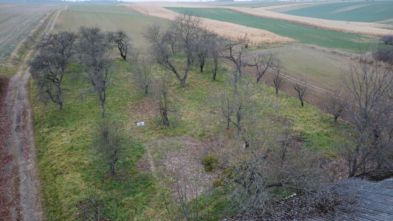 dom wolnostojący Małoszyce. Zdjęcie 2