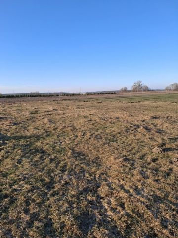 Działka budowlana Strzyżew, ul. Brzozowa. Zdjęcie 1