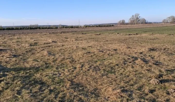 Działka budowlana Strzyżew, ul. Brzozowa