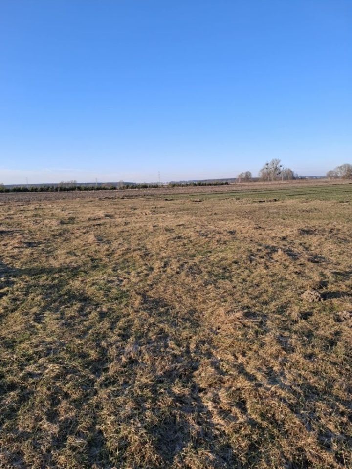 Działka budowlana Strzyżew, ul. Brzozowa. Zdjęcie 1