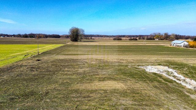 Działka budowlana Chyliczki, ul. Anny Jagiellonki. Zdjęcie 7