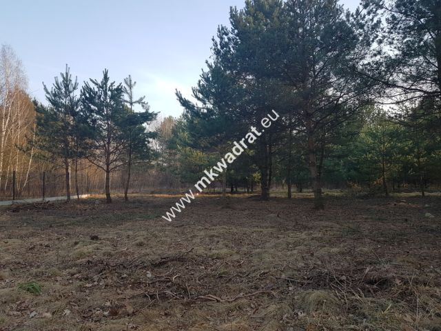 Działka Rozalin. Zdjęcie 2