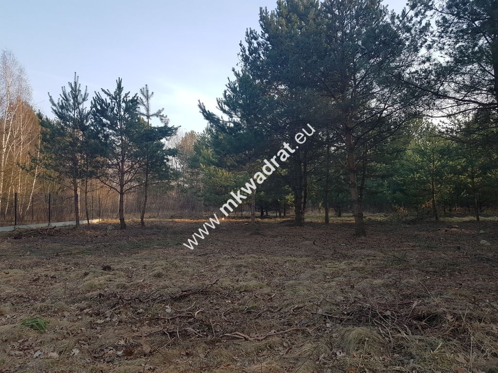 Działka Rozalin. Zdjęcie 2