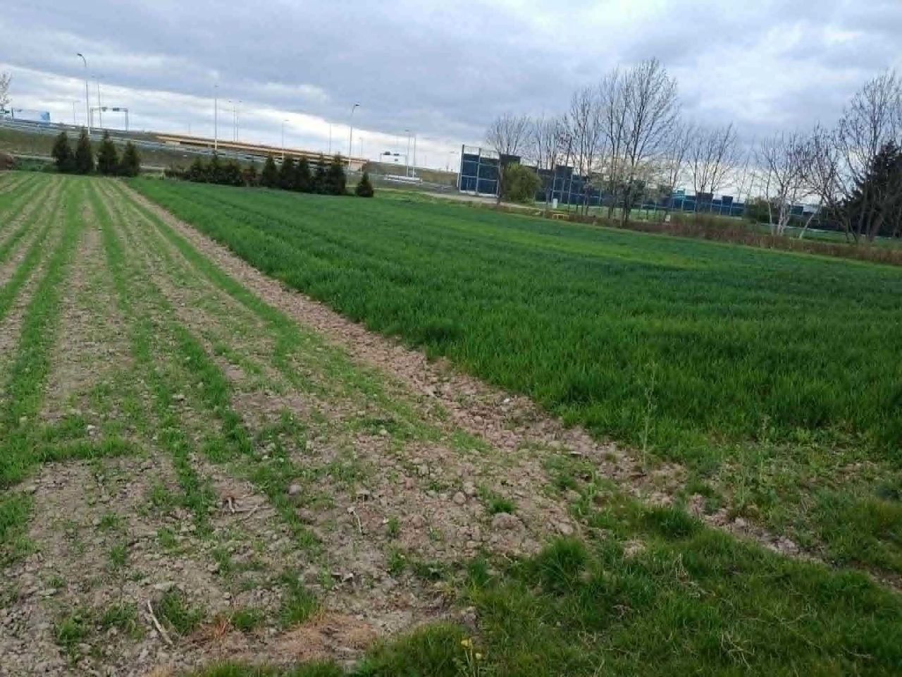 Działka budowlana Lublin. Zdjęcie 2