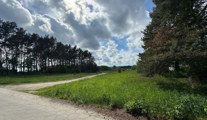 Działka budowlana Osieczna