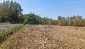 Działka budowlana Barcice Drwalewskie