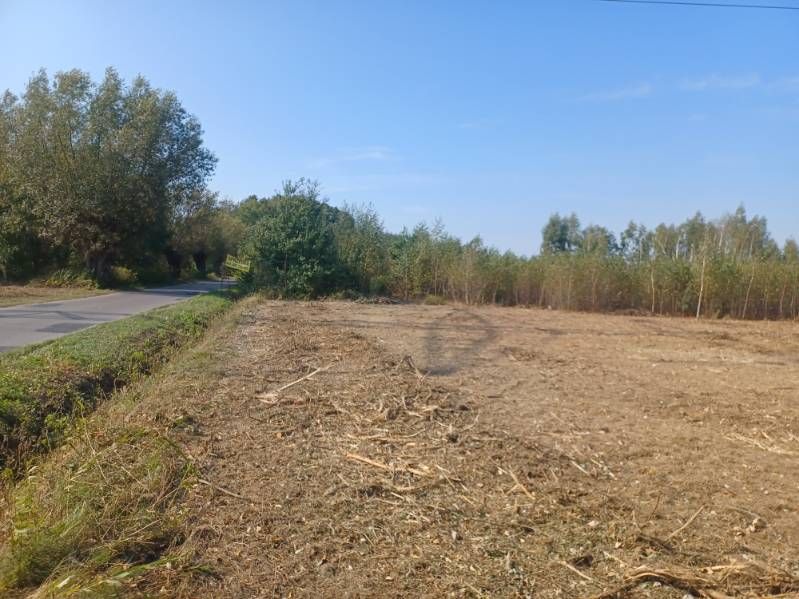 Działka budowlana Barcice Drwalewskie