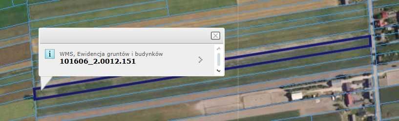 Działka rolno-budowlana Nowy Jasień. Zdjęcie 2