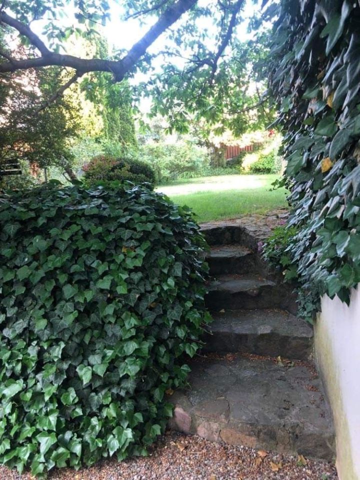 Mieszkanie 4-pokojowe Świdwin. Zdjęcie 5