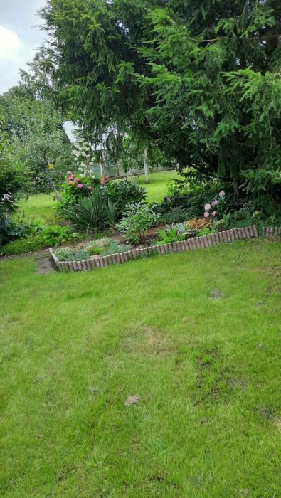 Działka rod Gdańsk Oliwa. Zdjęcie 2