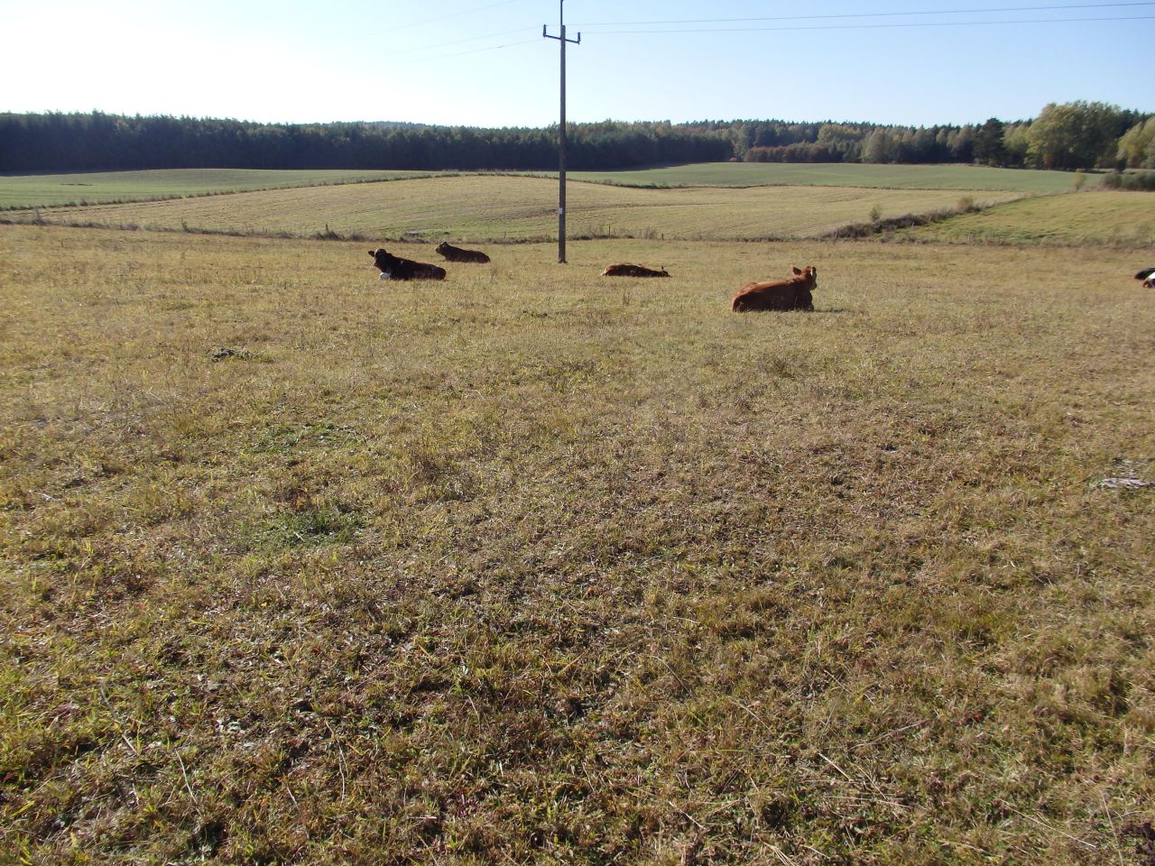 Działka rolno-budowlana Gady. Zdjęcie 6