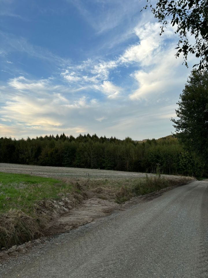 Działka rolna Biały Kościół Iwiny, ul. Iwiny. Zdjęcie 9