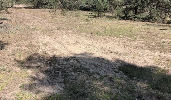 Działka rolno-budowlana Cisza