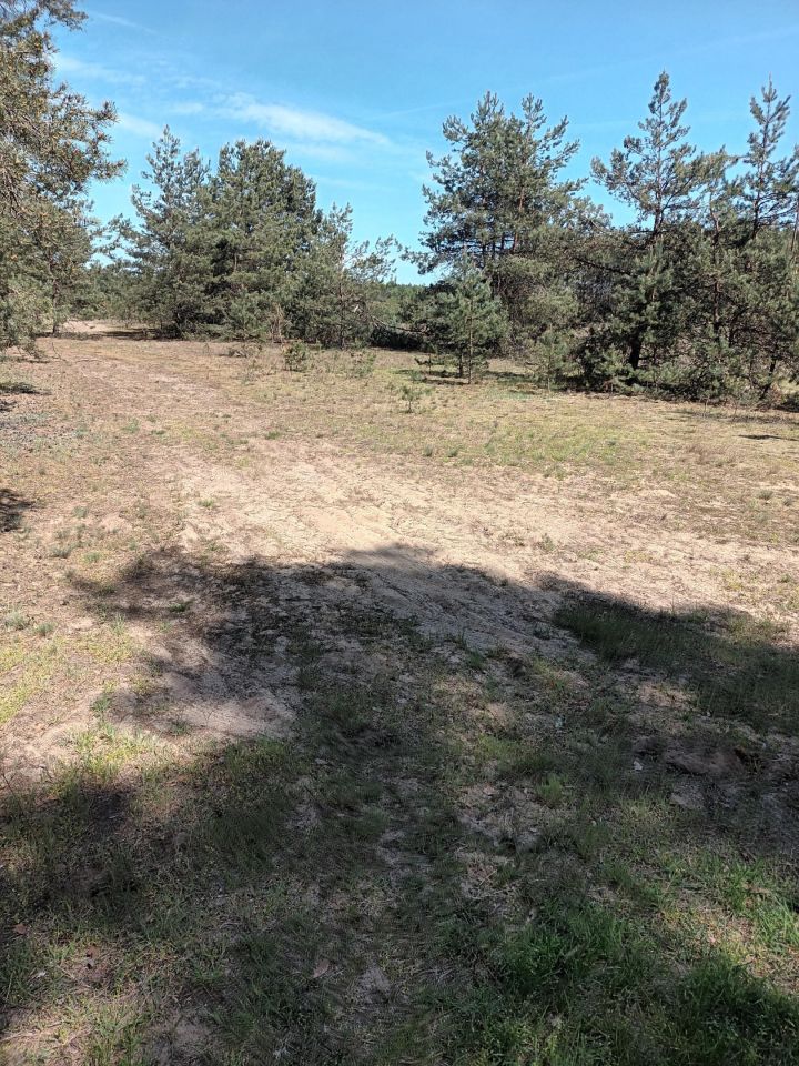 Działka rolno-budowlana Cisza