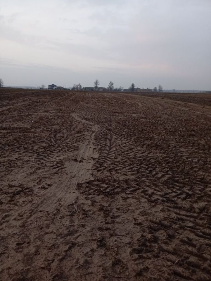 Działka budowlana Małachowice-Kolonia. Zdjęcie 6