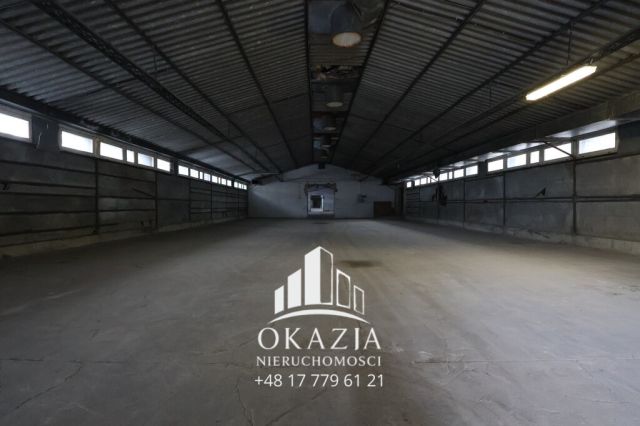 Hala/magazyn Wysoka Głogowska. Zdjęcie 5