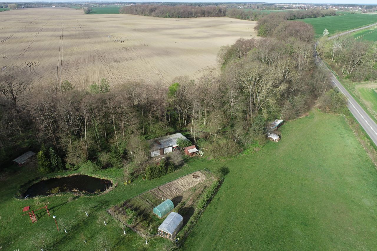 siedlisko, 4 pokoje Dalimierz Przewłocki. Zdjęcie 2