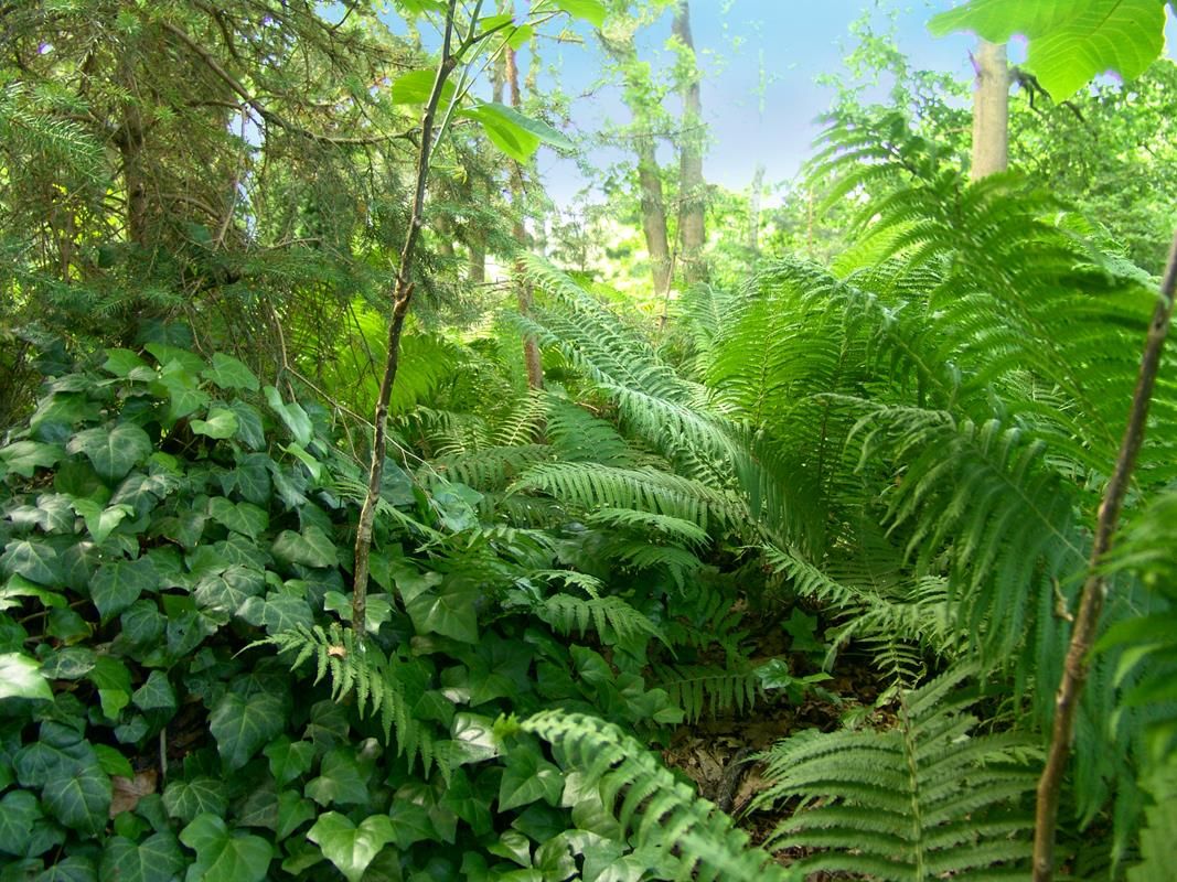 dom wolnostojący, 3 pokoje Magdalenka, ul. Piaskowa. Zdjęcie 46