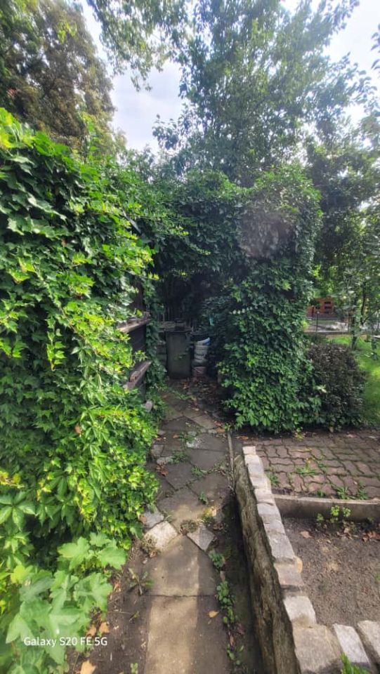 Działka rod Żary, ul. Pszenna. Zdjęcie 8