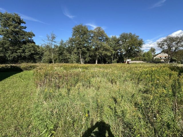 Działka budowlana Długołęka, ul. Adama Mickiewicza. Zdjęcie 9