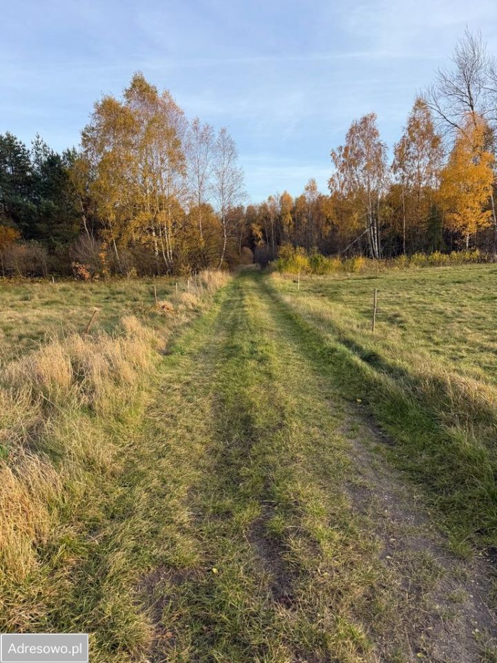 Działka budowlana Krasocin, ul. Kielnik. Zdjęcie 3
