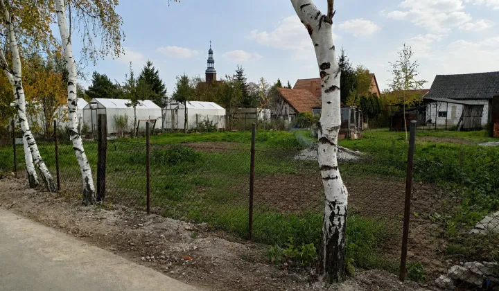 Działka budowlana Borzygniew, ul. Ogrodowa