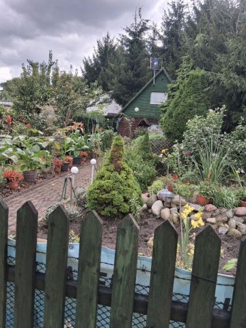 Działka rod Toruń, ul. Wierzbowa. Zdjęcie 1