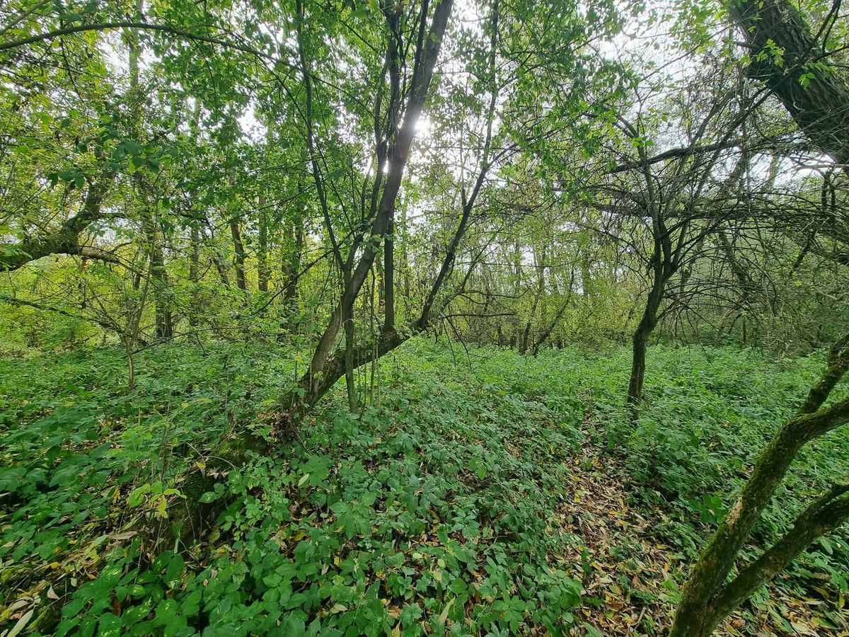 Działka rekreacyjna Zabierzów, ul. Zachodnia. Zdjęcie 4