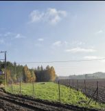 Działka Ostaszewo. Zdjęcie 1