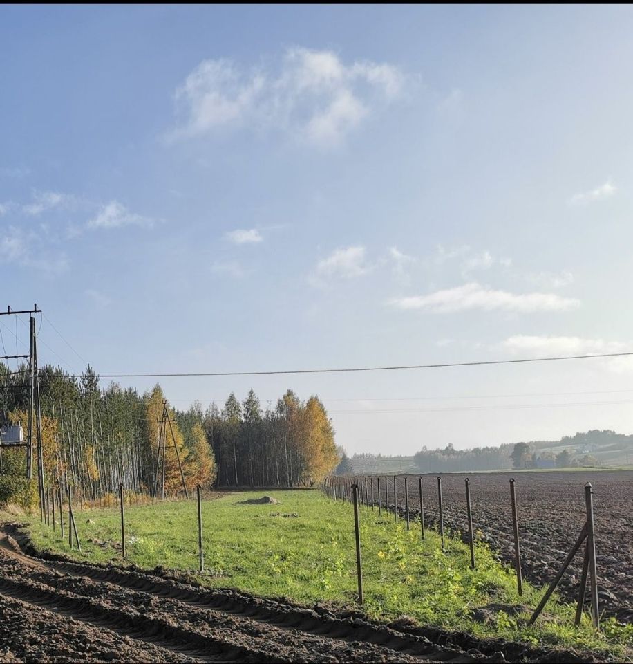 Działka Ostaszewo. Zdjęcie 2
