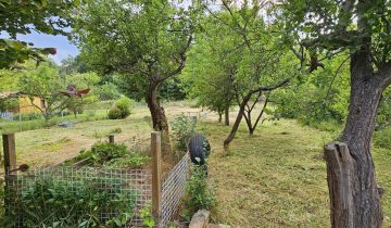 Działka rod Wrocław Psie Pole, ul. Sołtysowicka