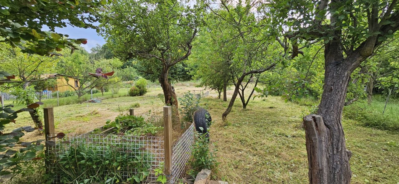 Działka rod Wrocław Psie Pole, ul. Sołtysowicka. Zdjęcie 2