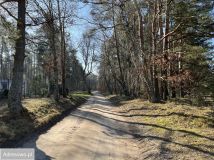 Działka rolno-budowlana Bukowa. Zdjęcie 3