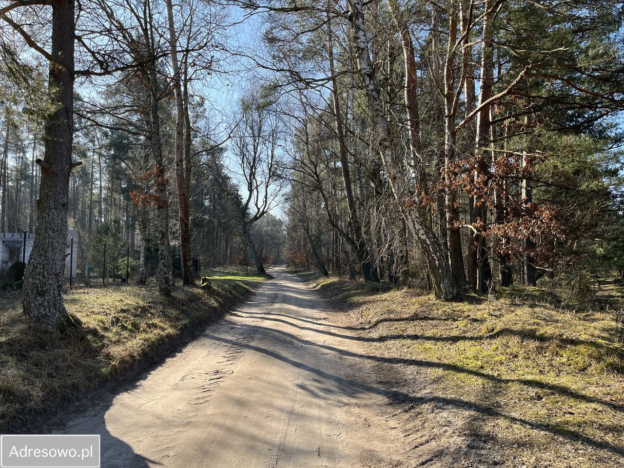 Działka rolno-budowlana Bukowa. Zdjęcie 4