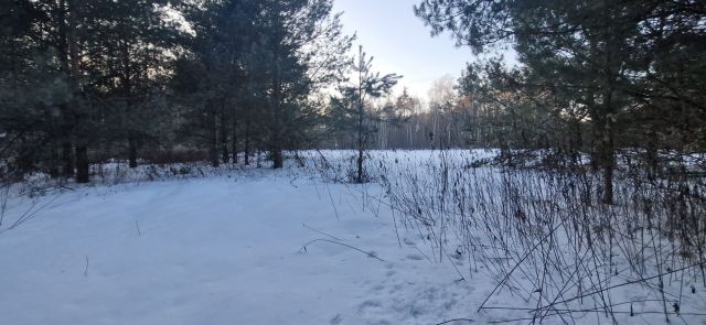 Działka rolna Ostrów Wiktorzec. Zdjęcie 1