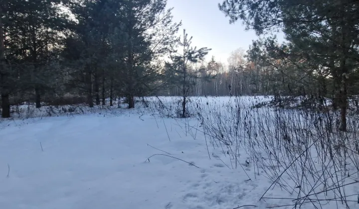 Działka rolna Ostrów Wiktorzec