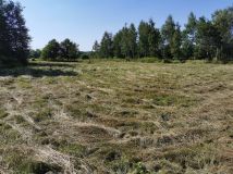 Działka rolno-budowlana Kobyle Kącina. Zdjęcie 3