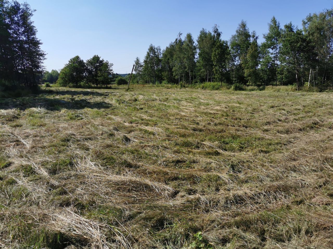 Działka rolno-budowlana Kobyle Kącina. Zdjęcie 4