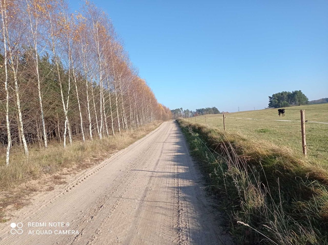 Działka budowlana Jagodne Wielkie. Zdjęcie 2