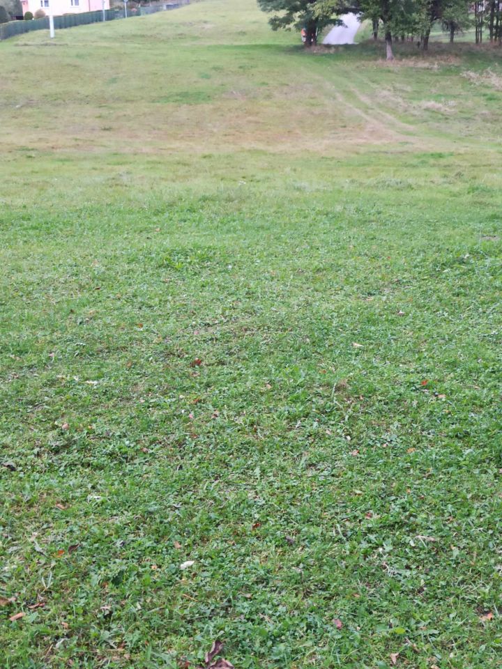 Działka rolno-budowlana Rybne. Zdjęcie 5