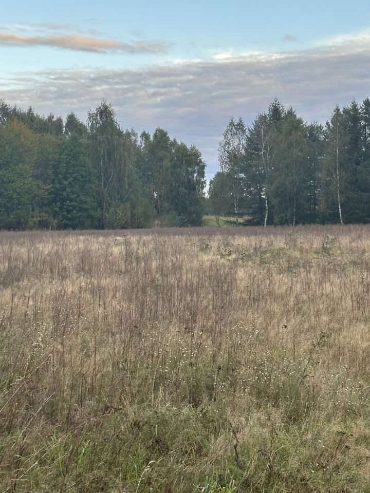 Działka budowlana Wołcza Mała. Zdjęcie 2