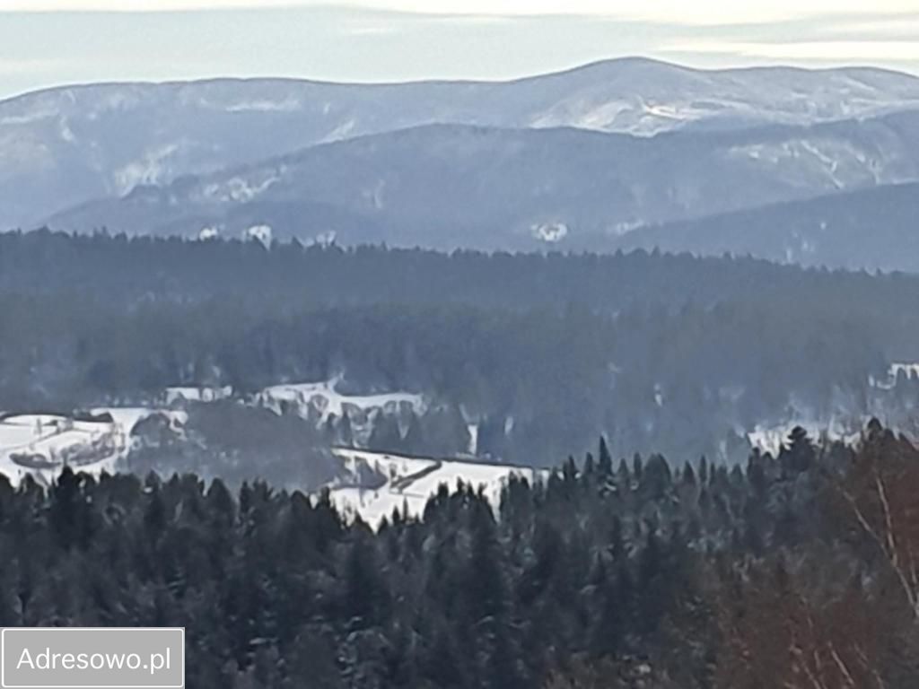 dom wolnostojący, 10 pokoi Targoszów. Zdjęcie 7