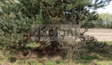 Działka budowlana Brok