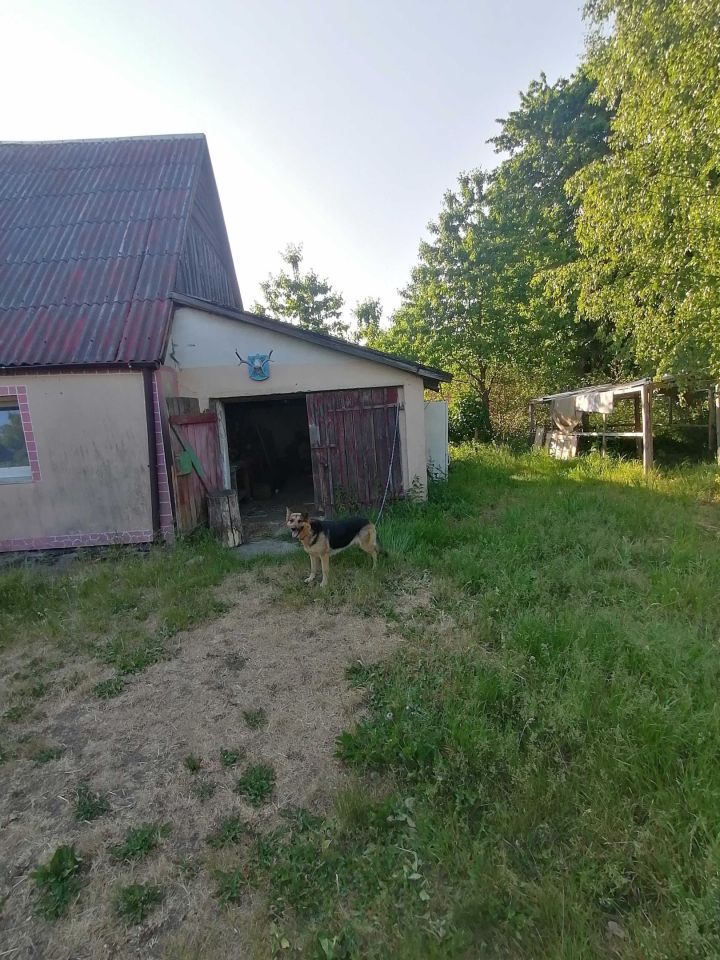 dom wolnostojący Kurowo. Zdjęcie 6