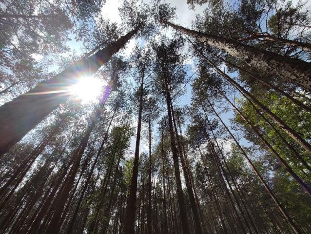 Działka budowlana Otwock Soplicowo, ul. Klucznikowska. Zdjęcie 1