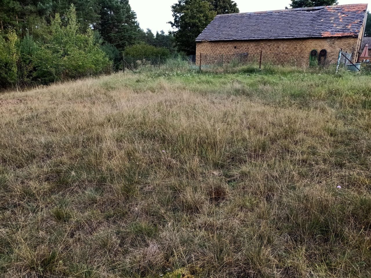 Działka rolna Świbinki. Zdjęcie 10