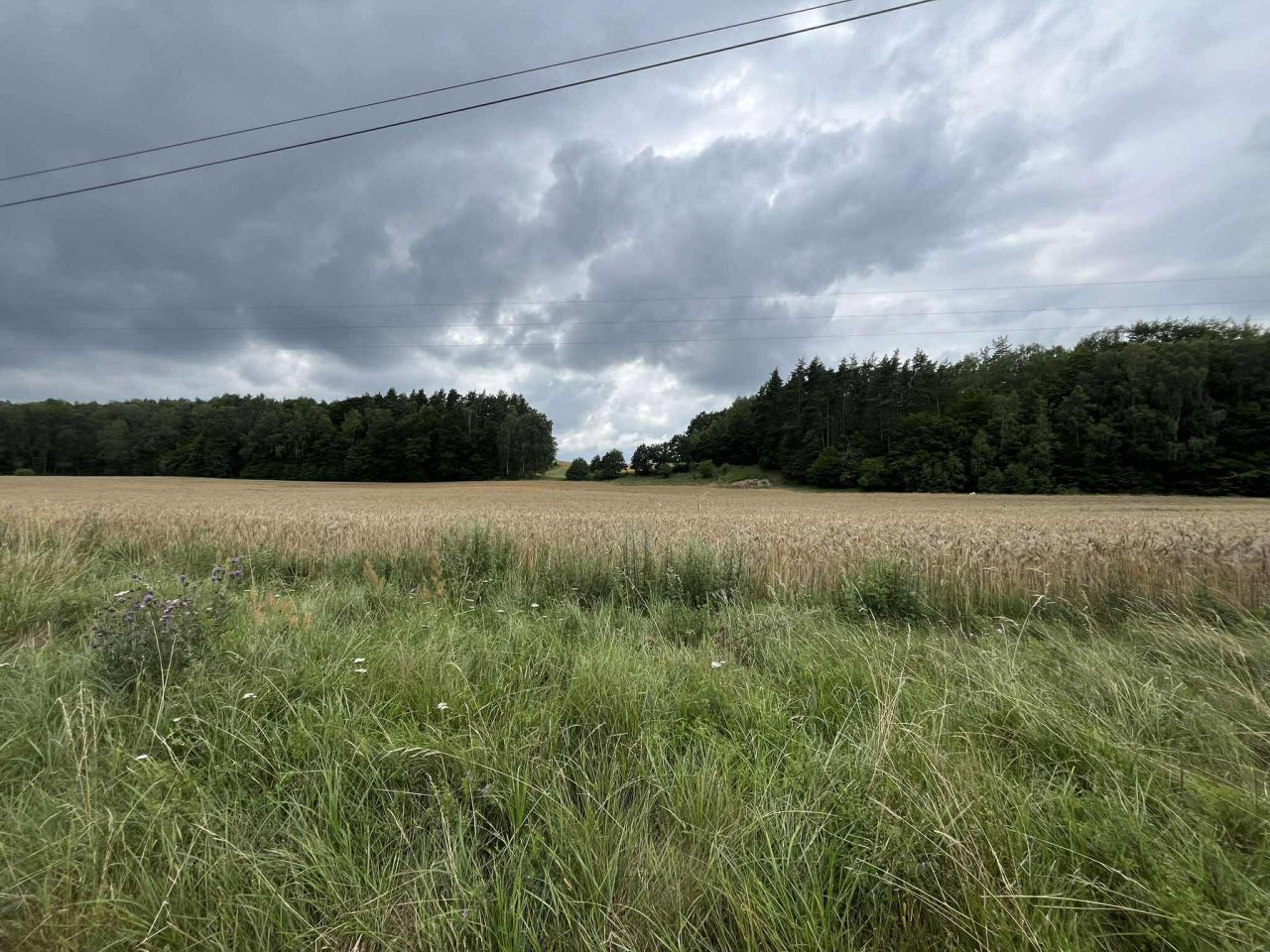 Działka inna Mierzeszyn, ul. Leśna. Zdjęcie 6