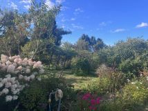 Działka rod Zielona Góra Jędrzychów. Zdjęcie 4